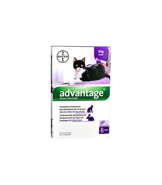 Advantage 80 Chat Lapin 4 Pipettes