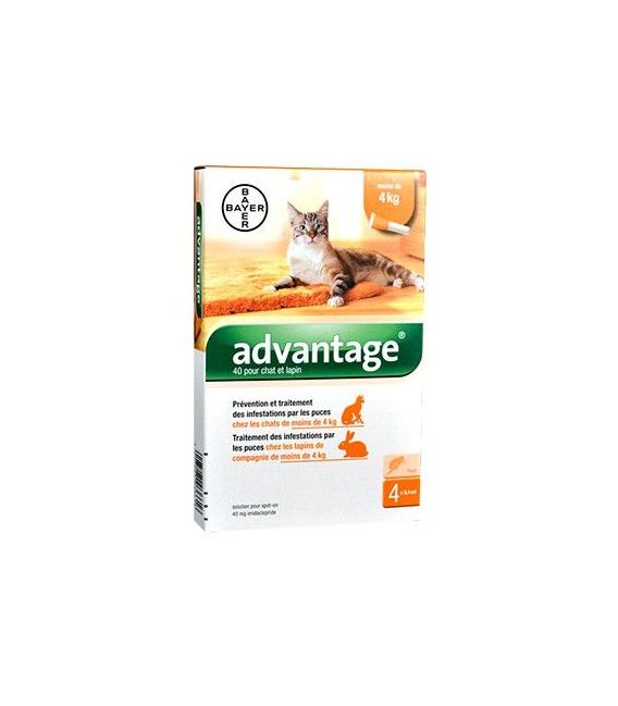 Advantage 40 Chat Lapin 4 Pipettes