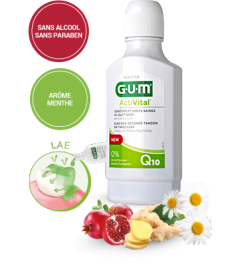 Gum Activital Bain de Bouche 300Ml