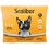 Collier Scalibor Insecticide Petits Chiens et Chiens Moyens