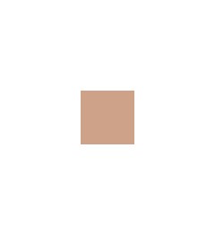 Clinique Poudre Transparente Haute Matité 7,6 Grammes 02 - Neutral