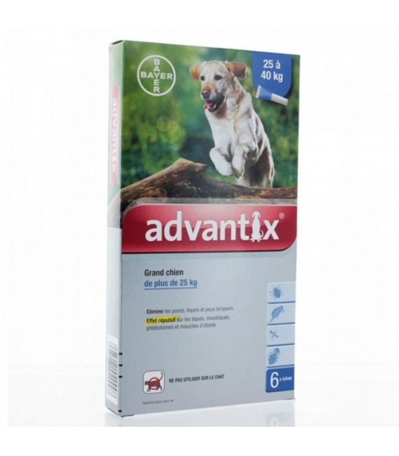 Advantix Grand Chien Spot On 6 pipettes