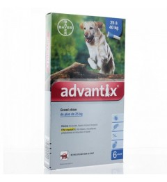 Advantix Grand Chien Spot On 6 pipettes