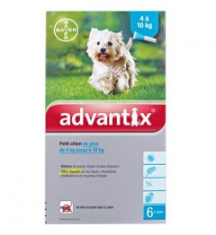 Advantix Petit Chien Spot On 6 pipettes