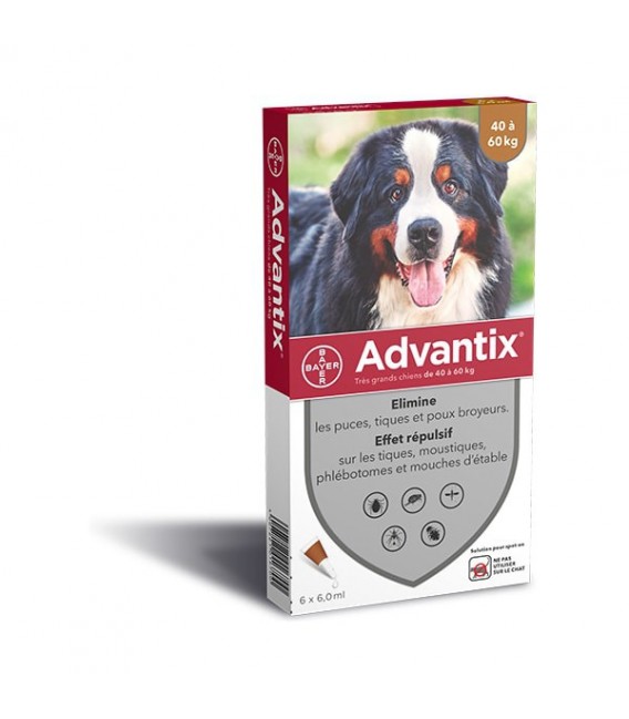 Advantix Très Grand Chien Spot On 4 pipettes