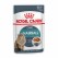 Royal Canin Chat Hairball Sauce 12x85 Grammes