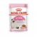 Royal Canin Chat Kitten Sauce 12x85 Grammes