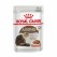 Royal Canin Chat Ageing12+ Sauce 12x85 Grammes
