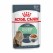 Royal Canin Chat Digestive Sensitive Sauce 12x85 Grammes