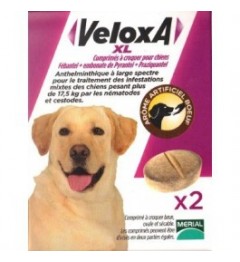 Veloxa XL Vermifuge Chien 2 Comprimés pas cher