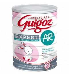 Guigoz Expert AR 2ème Age 800 G