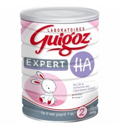 Guigoz Expert HA 2ème Age 800 G