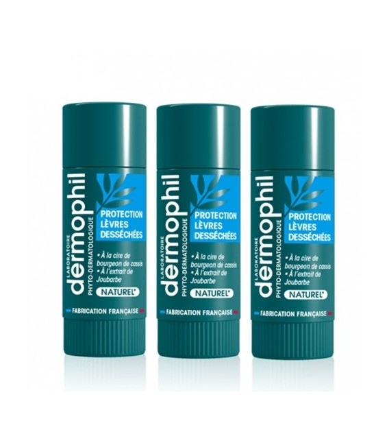 Dermophil Indien Stick Protection Lèvres Desséchées Trio