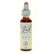 Fleurs de Bach Beech 20 ml