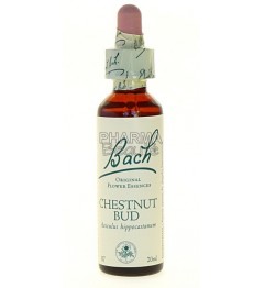 Fleurs de Bach Chestnut Bud 20 ml