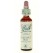 Fleurs de Bach Chestnut Bud 20 ml