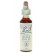 Fleurs de Bach Water Violet 20 ml