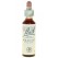 Fleurs de Bach Wild Oat (n°36) 20 ml pas cher